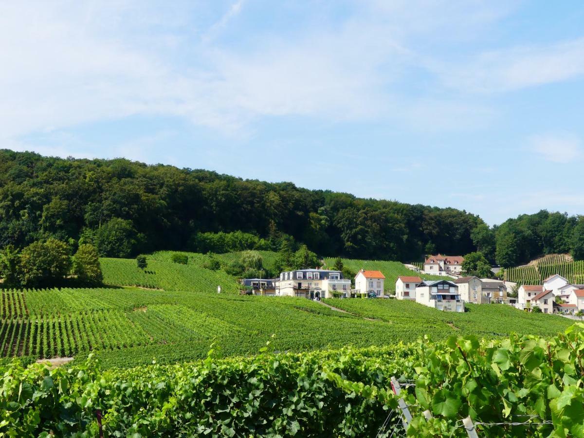 B&B En Champagne Cramant Екстер'єр фото